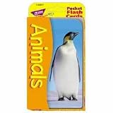TEPT23017 Pocket Flash Cards, 2 Sided, Animals, 56/PK, 3-1/4x5-1/4