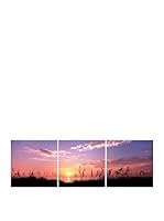 Wall Decor  Fotocuadro Tríptico Flaylok