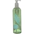 Green Tea By Elizabeth Arden For Women, Shower Gel, 16.8-Ounce Bottles