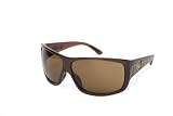Dragon Recruit Sunglasses (Coffee Polar/Bronze Polar)