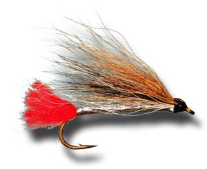 Black Nose Dace Fly Fishing Fly