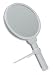 Zadro Lighted Swivel Hand Mirror, 1x/10x