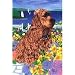 cocker_spaniel24cocker spaniel - Cocker Spaniel Garden Flag by GR8 Dogs Multi
