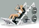 Husky Hip and Leg Sled Leg Press