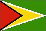 Guyana Nylon flag 3 ft. x 5 ft.