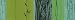 Wallpaper Border Modern Spa Grass Bamboo Dark Green Grass Green Sea Blue and Aqua Blue