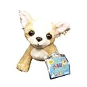 Webkinz Lil’ Chihuahua with Trading Cards