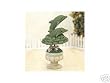Dolphins Topiary Statue