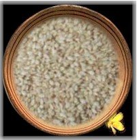 Ajika Natural Sesame Seeds - Indian Herb & Indian Spice