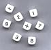 WHOLE NUMBER DICE