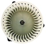 317XE5SPa8L. SL160  TYC 700075 Chevrolet/Pontiac Replacement Blower Assembly