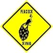 PEACOCK CROSSING bird pet watchdog joke sign