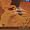 image0