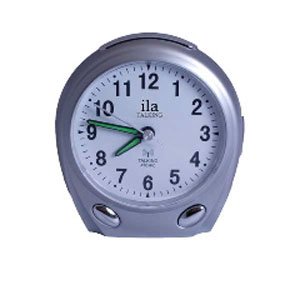Talking Atomic Clock