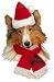 SDISC Santa Hat and Scarf Set Medium