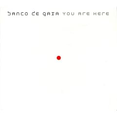 You Are Here