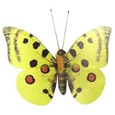 BUTTERFLY MAGNET 3P/SET〔バタフライ マグネット〕 3 イエロー
