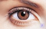 Freshlook Colorblends Brown Non prescription
