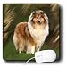Dogs Border Collie - Collie - Mouse Pads