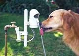 Contech Automatic Motion Activated Outdoor Pet Water Fountain