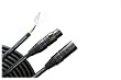 Monster Cable P500-M-30 Performer 500 Microphone Cable 30 ft. (Gold-Contact XLRs)