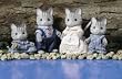Calico Critters Fisher Cat Family