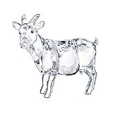 Review Swarovski  / Swarovski Goat