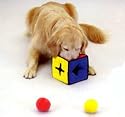Kyjen Plush Puppies The IQube Puzzle Plush Dog Toy