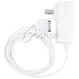 Rapid Travel Charger for iPod