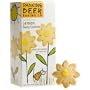 Lemon Daisy Shortbread Cookies