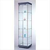 Quick Ship: Versatile Glass Square Tower Display Case Finish: Maple / Silver Frame, Sidelights: Not Included