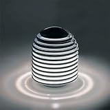 ���}�M�� aureola S2979N