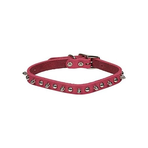 Petco Pink Leather Spiked Dog Collar Pet Supplies Petco Pink Leather Spiked Dog Collar Pet Supplies