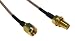 Electronics : Max Value Wireless Antenna Extension,Reverse SMA,1.8 Mtr (MV35610)
