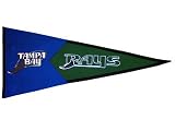 Tampa Bay Devil Rays 2001 Classic Pennant