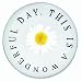 R�der Paperweights - This is a wonderful Day