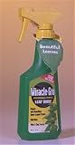 317ZVRR2QTL. SL160  Bonsai Boys Miracle Grow Leaf Shine   12 oz