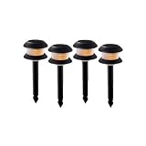 Solar Tiered Path Landscape Accent Lighting