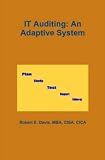  : IT Auditing: An Adaptive System