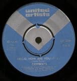 HELLO HOW ARE YOU 7" (45)
