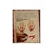 Anatomy Coloring Book