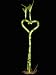 KL Design & Import - One (1) Set Of 10" Heart Shaped Lucky Bamboo (about 20" tall top to bottom)