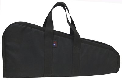 Ace Case 21