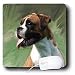 boxer36 - Dogs Boxer Boxer Portrait Mouse Pads