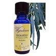 Eucalyptus Radiata Essential Oil