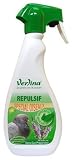 Répulsif Naturel pour Oiseaux