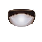 10991 - Alameda Outdoor Flush-mount Ceiling Fixture