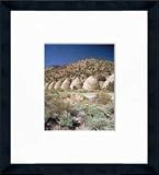 Death Valley National Park 18" x 20" Framed Photograph (NP20A-5A6)