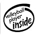 Volleyball Player Inside Vinyl Graphic Sticker Decal
