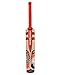 Gray Nicolls Kaboom Smash Kashmir Willow Cricket Bat, Short Handle RS.1844.00